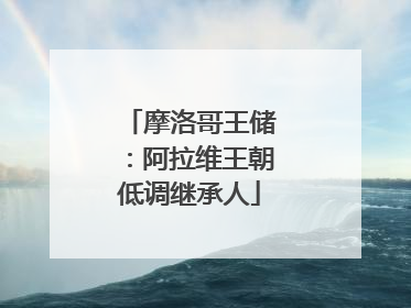 摩洛哥王储：阿拉维王朝低调继承人