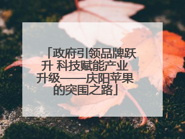 政府引领品牌跃升 科技赋能产业升级——庆阳苹果的突围之路