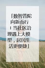 数智普陀 向新而行〡当社区治理遇上大模型，居民生活更便捷