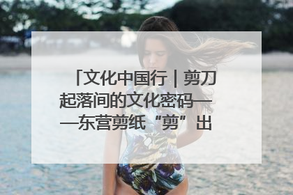 文化中国行｜剪刀起落间的文化密码——东营剪纸“剪”出非遗传承与现代生活的融合之道