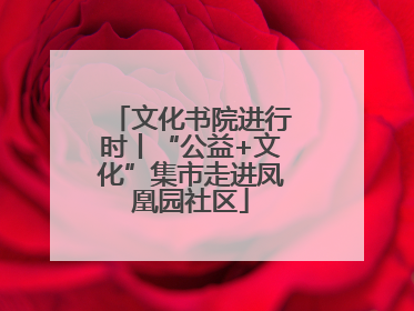 文化书院进行时丨“公益+文化”集市走进凤凰园社区