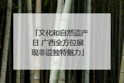 文化和自然遗产日 广西全方位展现非遗独特魅力