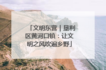 文明东营｜垦利区黄河口镇：让文明之风吹遍乡野