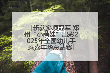 斩获多项冠军 郑州“小萌娃”出彩2025年全国幼儿手球嘉年华总站赛