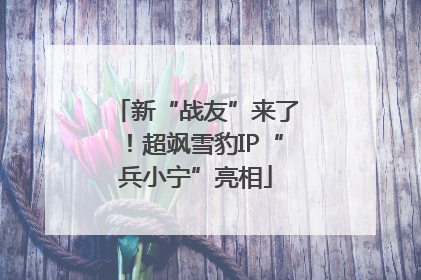 新“战友”来了！超飒雪豹IP“兵小宁”亮相