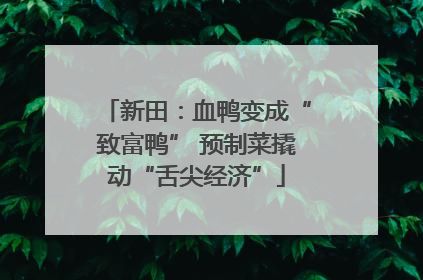 新田：血鸭变成“致富鸭” 预制菜撬动“舌尖经济”