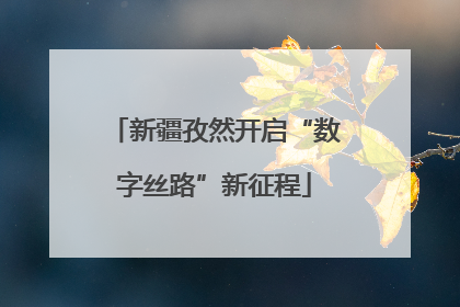 新疆孜然开启“数字丝路”新征程