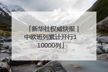 新华社权威快报｜中欧班列累计开行110000列