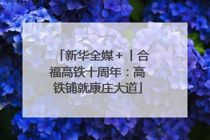 新华全媒＋丨合福高铁十周年：高铁铺就康庄大道