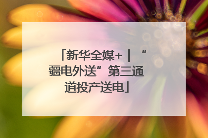 新华全媒+｜“疆电外送”第三通道投产送电
