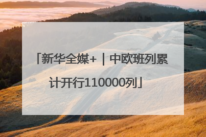 新华全媒+｜中欧班列累计开行110000列