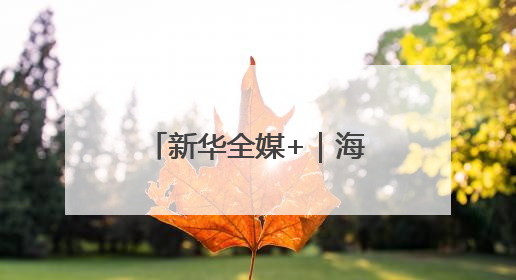 新华全媒+｜海南自贸港：政策创新赋能产业发展