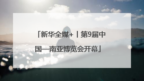 新华全媒+丨第9届中国—南亚博览会开幕