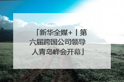 新华全媒+丨第六届跨国公司领导人青岛峰会开幕