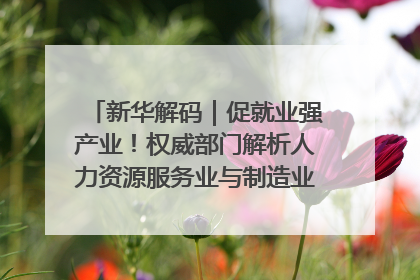 新华解码｜促就业强产业！权威部门解析人力资源服务业与制造业融合发展试点