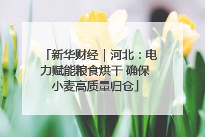 新华财经｜河北：电力赋能粮食烘干 确保小麦高质量归仓