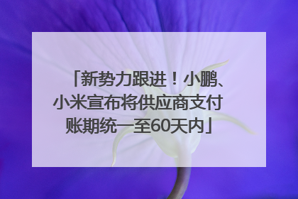 新势力跟进！小鹏、小米宣布将供应商支付账期统一至60天内