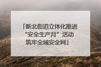 新北街道立体化推进“安全生产月”活动 筑牢全域安全网
