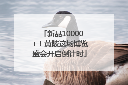 新品10000+！黄陂这场博览盛会开启倒计时