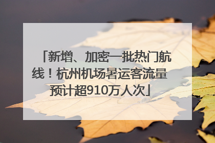 新增、加密一批热门航线！杭州机场暑运客流量预计超910万人次