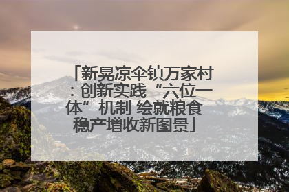 新晃凉伞镇万家村：创新实践“六位一体”机制 绘就粮食稳产增收新图景