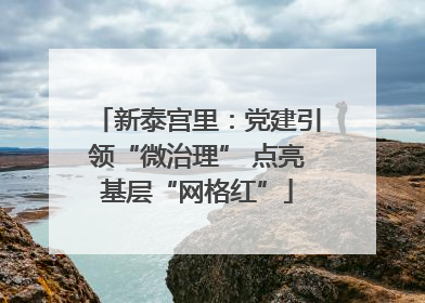 新泰宫里：党建引领“微治理” 点亮基层“网格红”