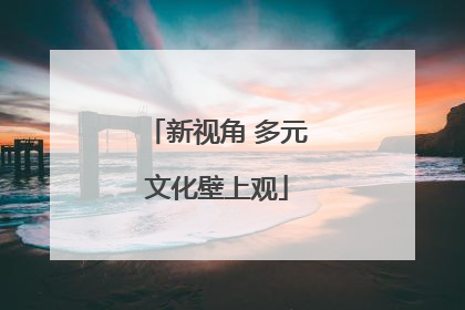 新视角 多元文化壁上观
