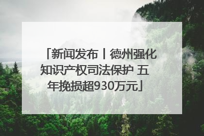 新闻发布丨德州强化知识产权司法保护 五年挽损超930万元