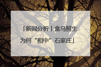 新闻分析丨盒马鲜生为何“相中”石家庄