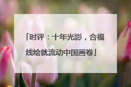 时评：十年光影，合福线绘就流动中国画卷