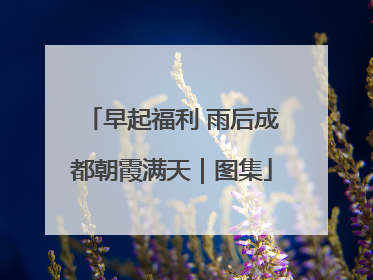 早起福利 雨后成都朝霞满天｜图集