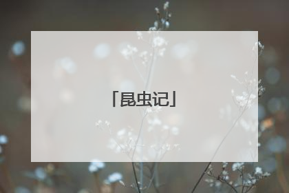 昆虫记