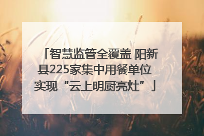 智慧监管全覆盖 阳新县225家集中用餐单位实现“云上明厨亮灶”