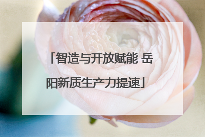 智造与开放赋能 岳阳新质生产力提速