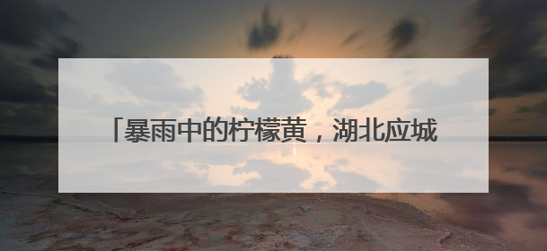 暴雨中的柠檬黄，湖北应城交警全力疏堵保畅护平安