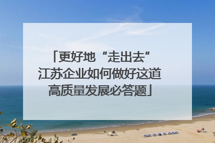 更好地“走出去” 江苏企业如何做好这道高质量发展必答题