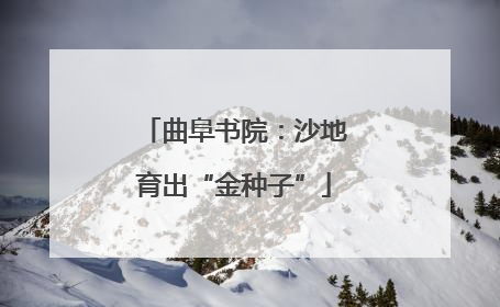 曲阜书院：沙地育出“金种子”