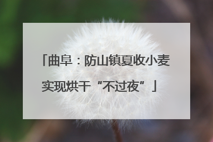 曲阜：防山镇夏收小麦实现烘干“不过夜”