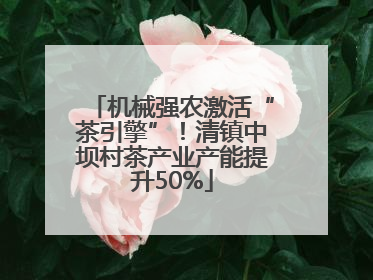 机械强农激活“茶引擎”！清镇中坝村茶产业产能提升50%