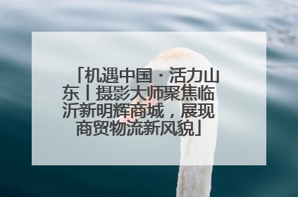 机遇中国・活力山东丨摄影大师聚焦临沂新明辉商城，展现商贸物流新风貌