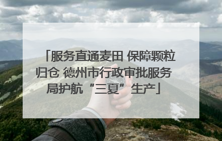 服务直通麦田 保障颗粒归仓 德州市行政审批服务局护航“三夏”生产