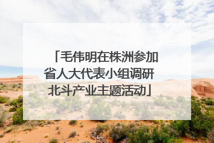 毛伟明在株洲参加省人大代表小组调研北斗产业主题活动