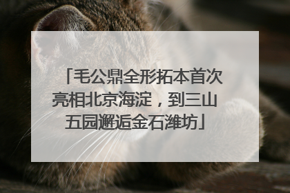 毛公鼎全形拓本首次亮相北京海淀，到三山五园邂逅金石潍坊