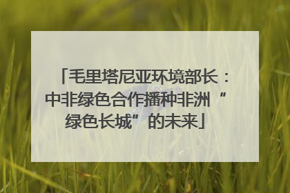 毛里塔尼亚环境部长：中非绿色合作播种非洲“绿色长城”的未来