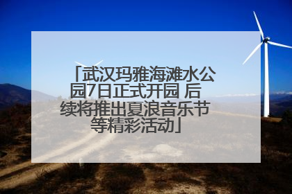 武汉玛雅海滩水公园7日正式开园 后续将推出夏浪音乐节等精彩活动