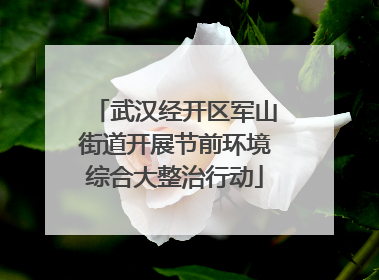 武汉经开区军山街道开展节前环境综合大整治行动
