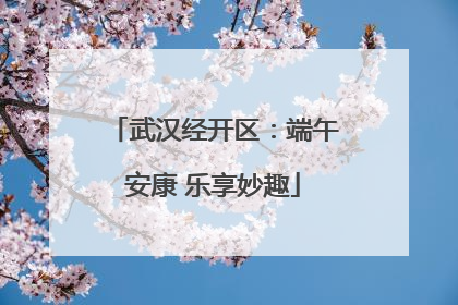 武汉经开区：端午安康 乐享妙趣