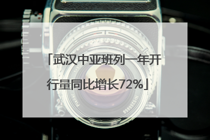武汉中亚班列一年开行量同比增长72%
