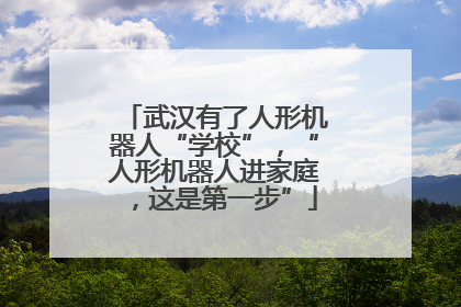 武汉有了人形机器人“学校”，“人形机器人进家庭，这是第一步”