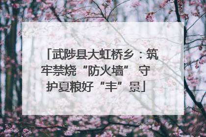 武陟县大虹桥乡：筑牢禁烧“防火墙” 守护夏粮好“丰”景